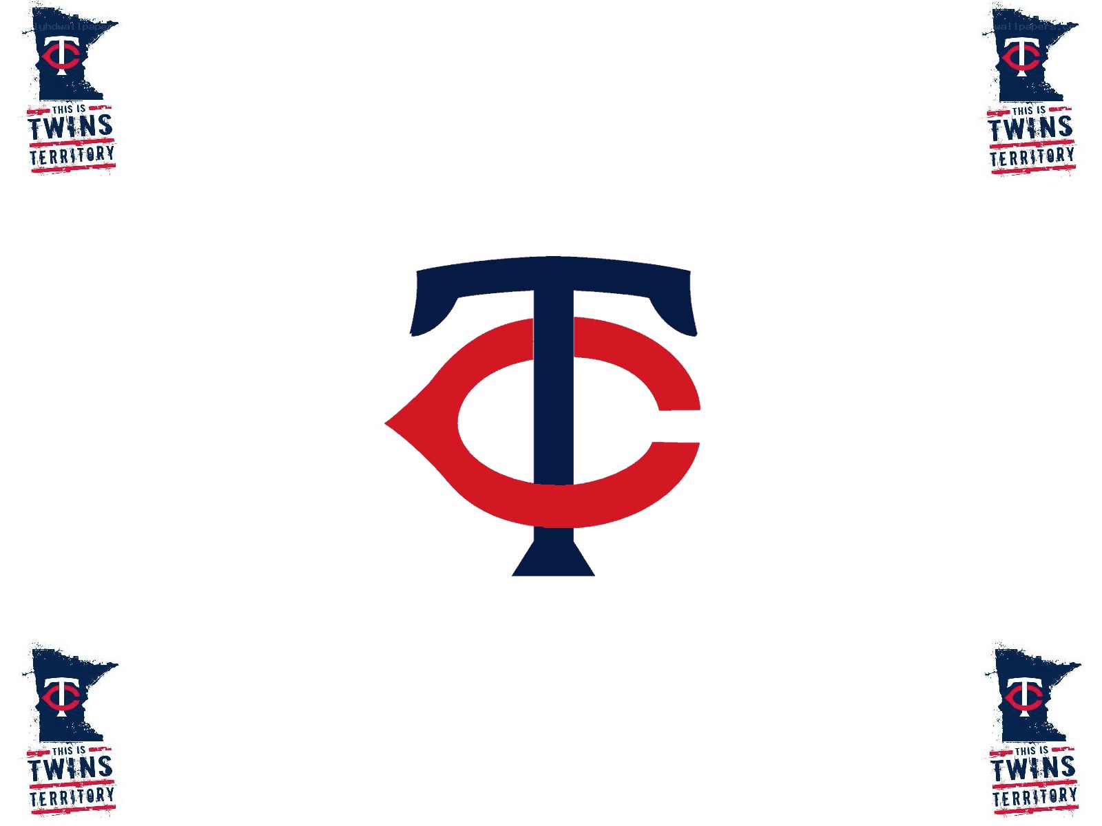 Minnesota Twins logo and branding