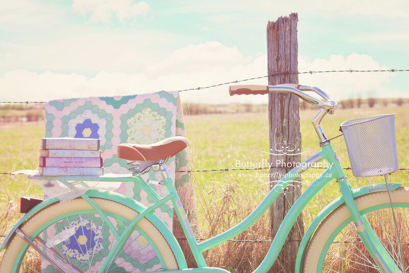 Mint Bicycle in Field