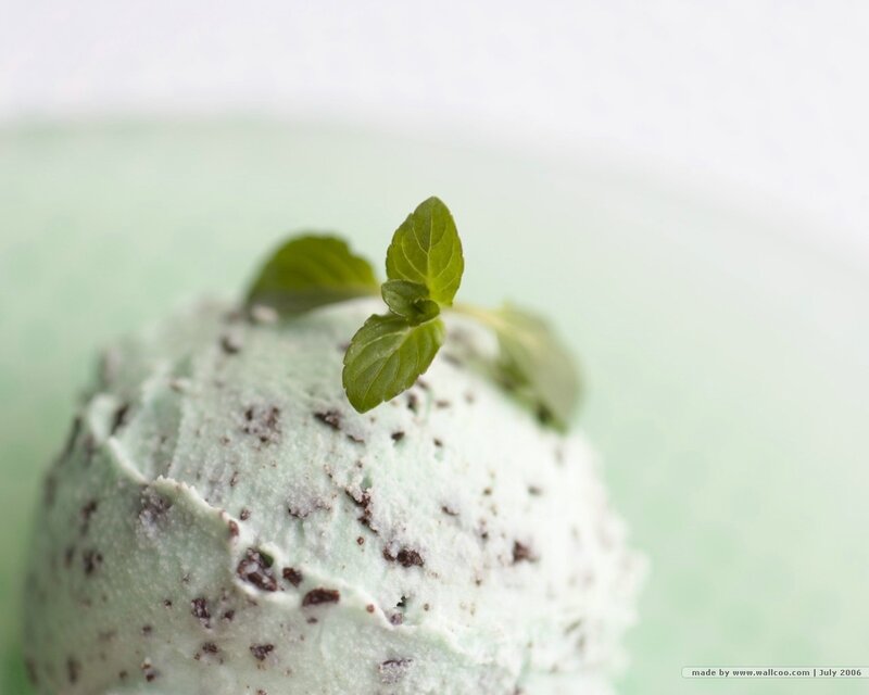 mint chocolate chip ice cream