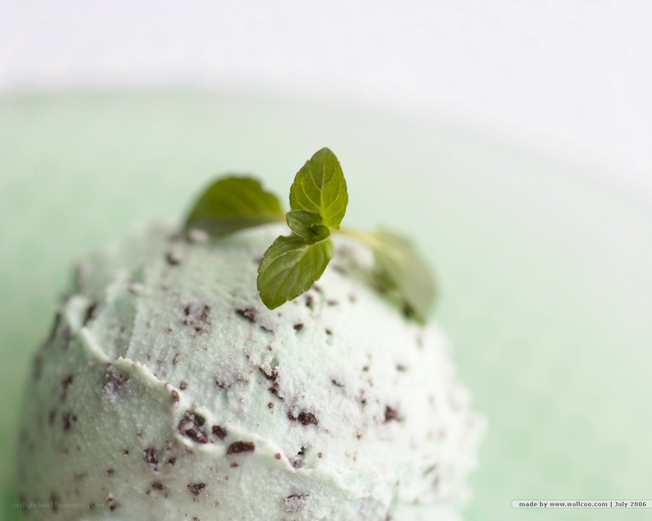 mint chocolate chip ice cream
