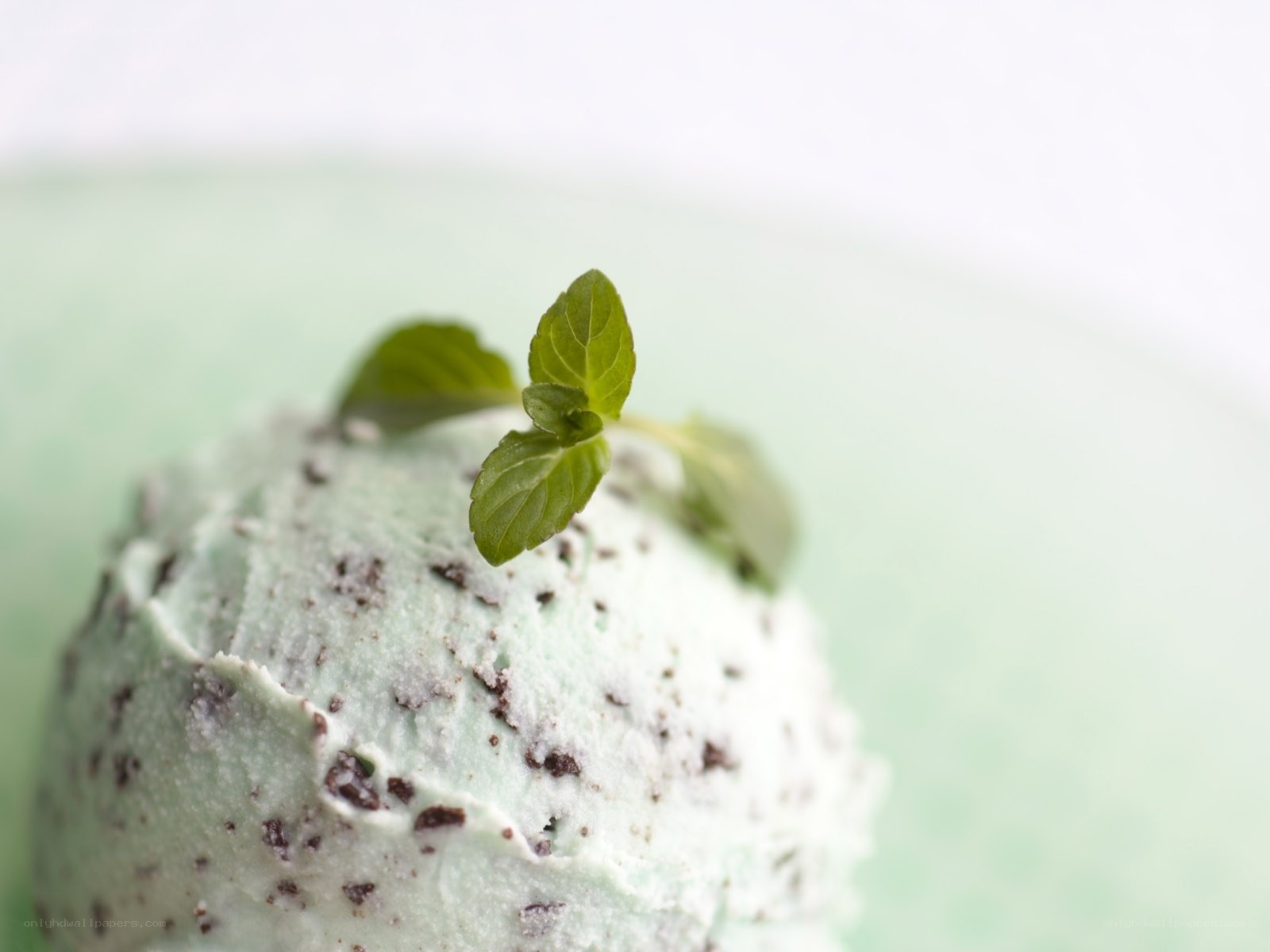 mint chocolate chip ice cream