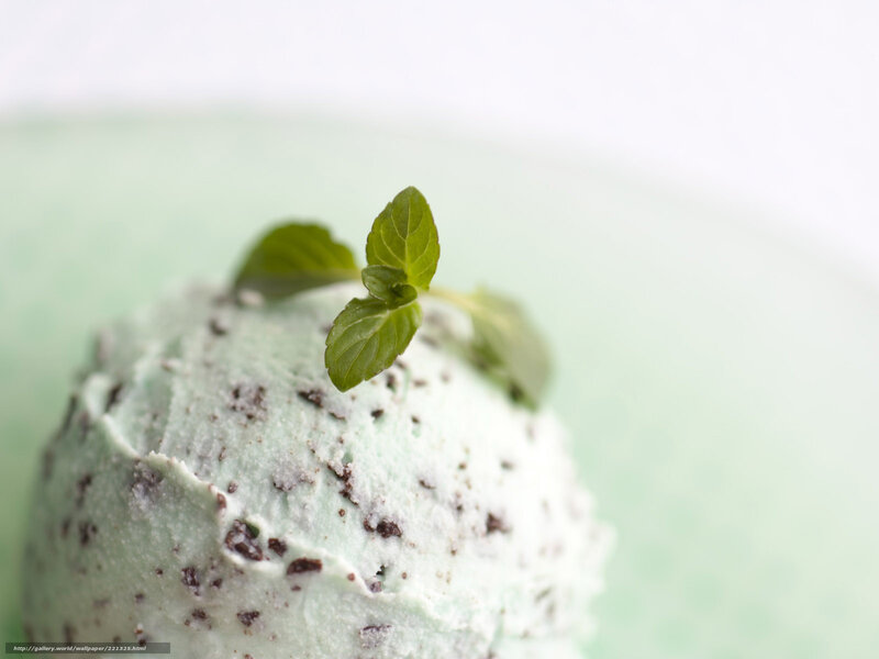 Mint Ice Cream Scoop