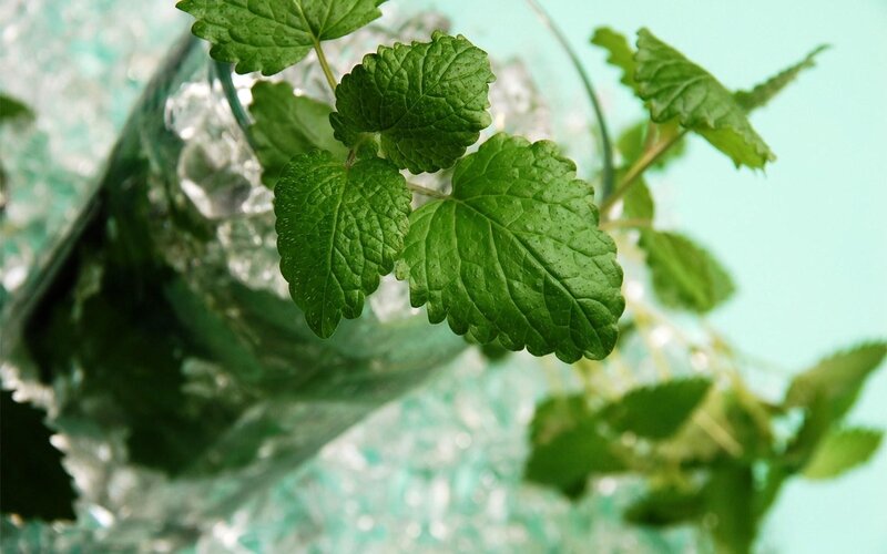 Mint Leaves in Glass