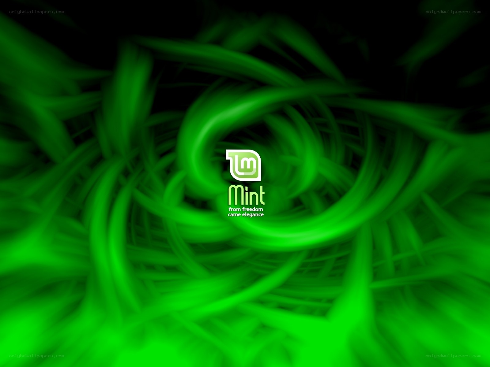 Mint Linux logo on green swirl