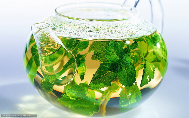 Mint Tea in Glass Teapot — Green, Calm