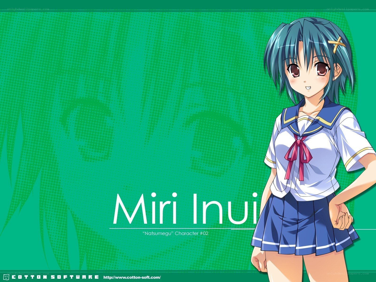 Miri Inui character art