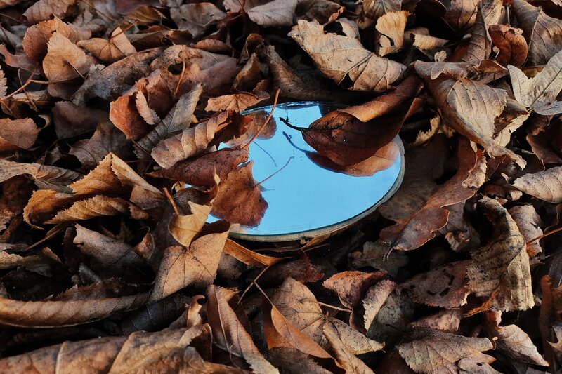 Mirror in Fallen Leaves