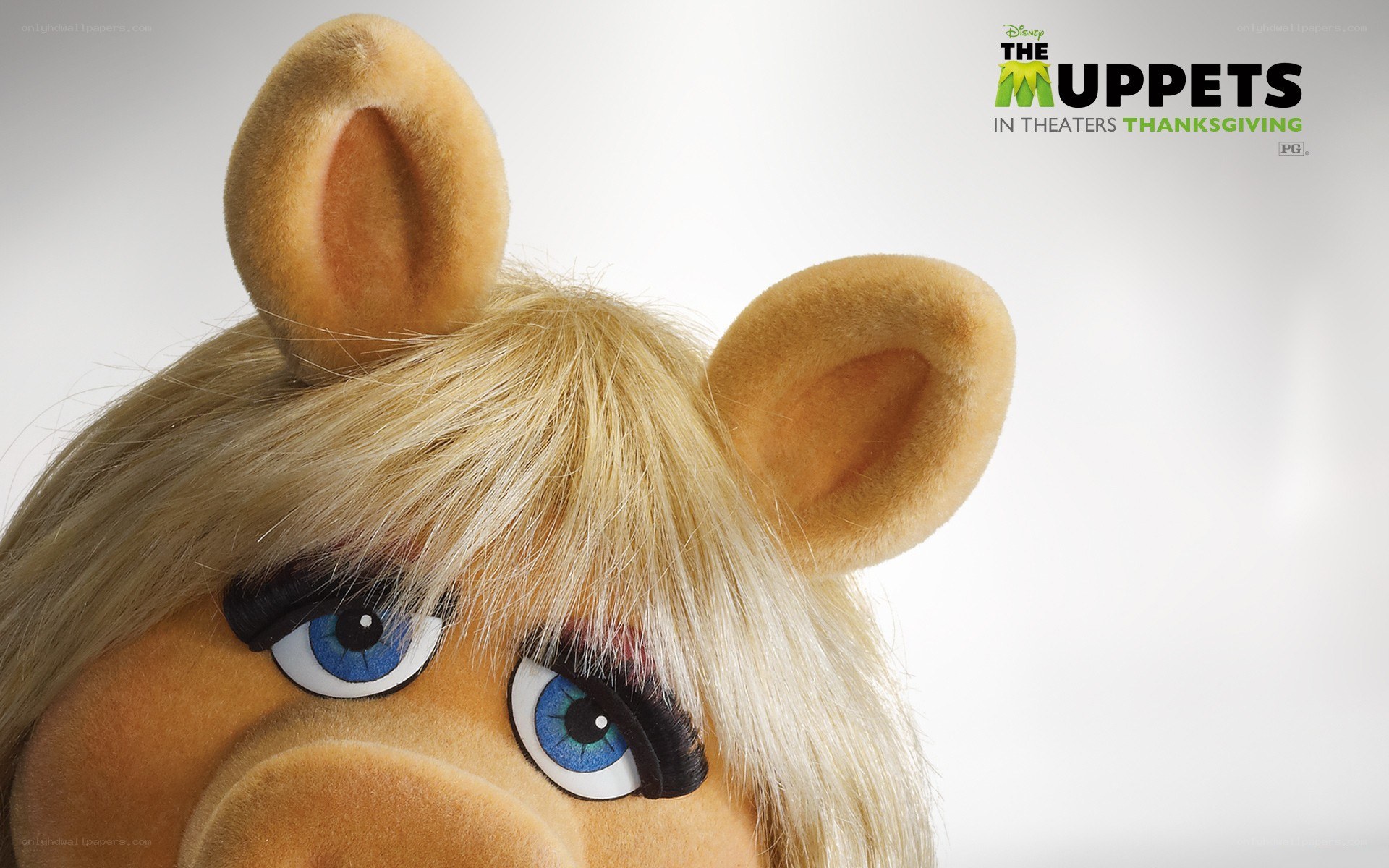 Miss Piggy close-up