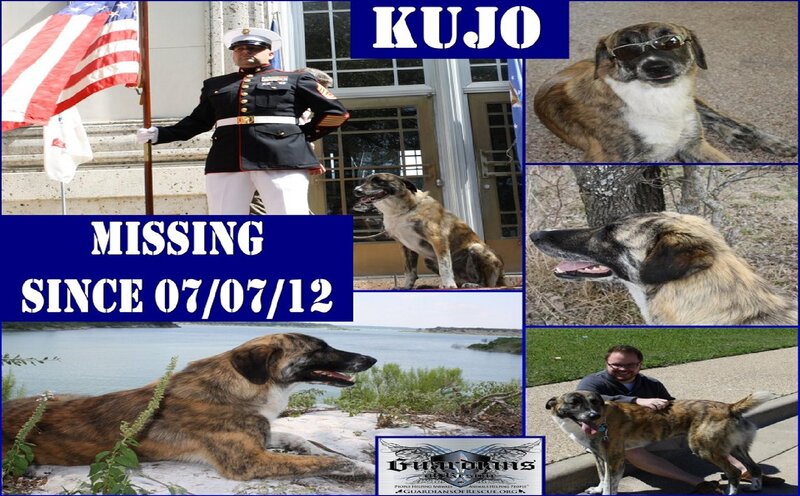 Missing Dog Kujo