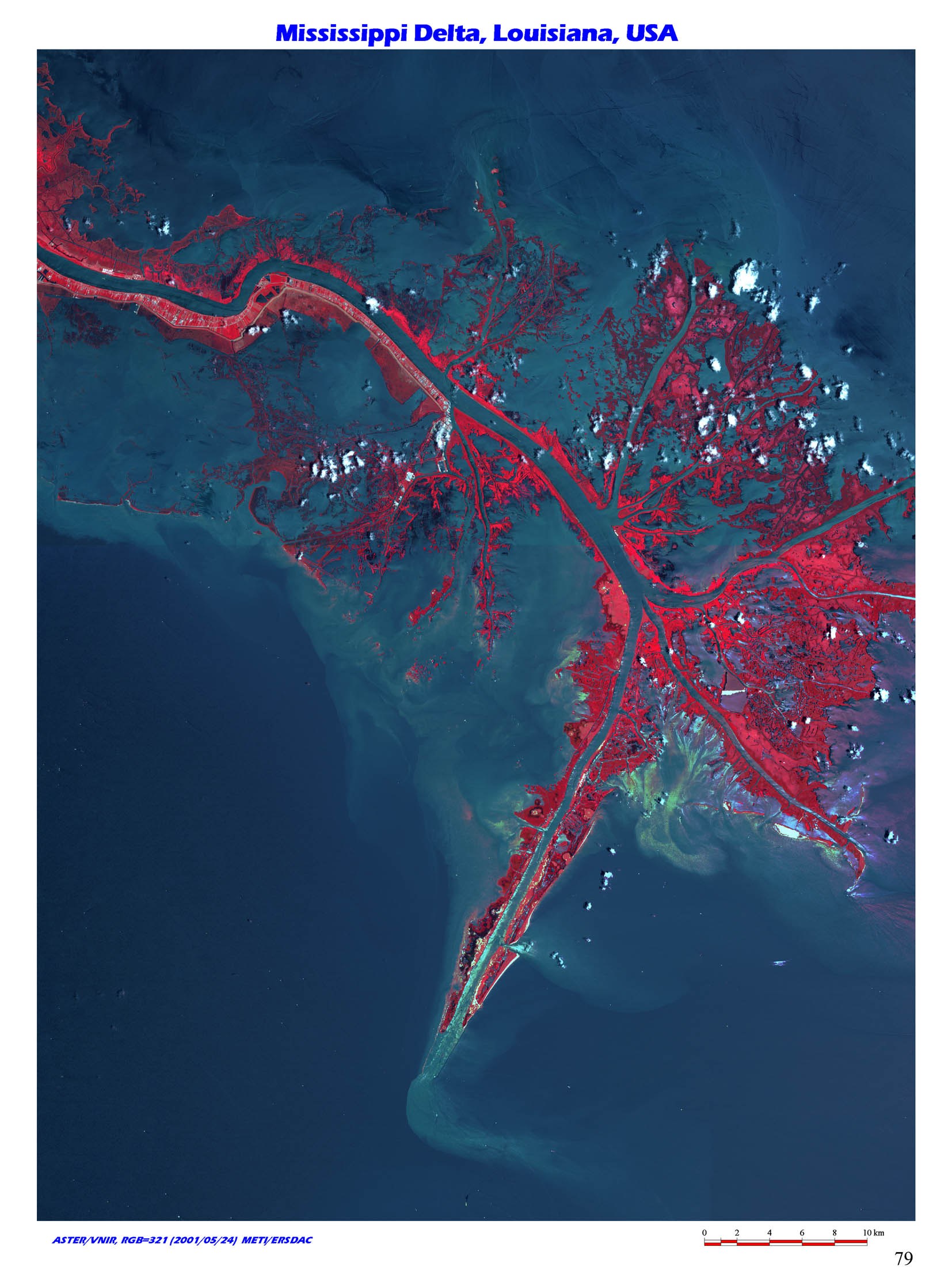 Mississippi Delta satellite view