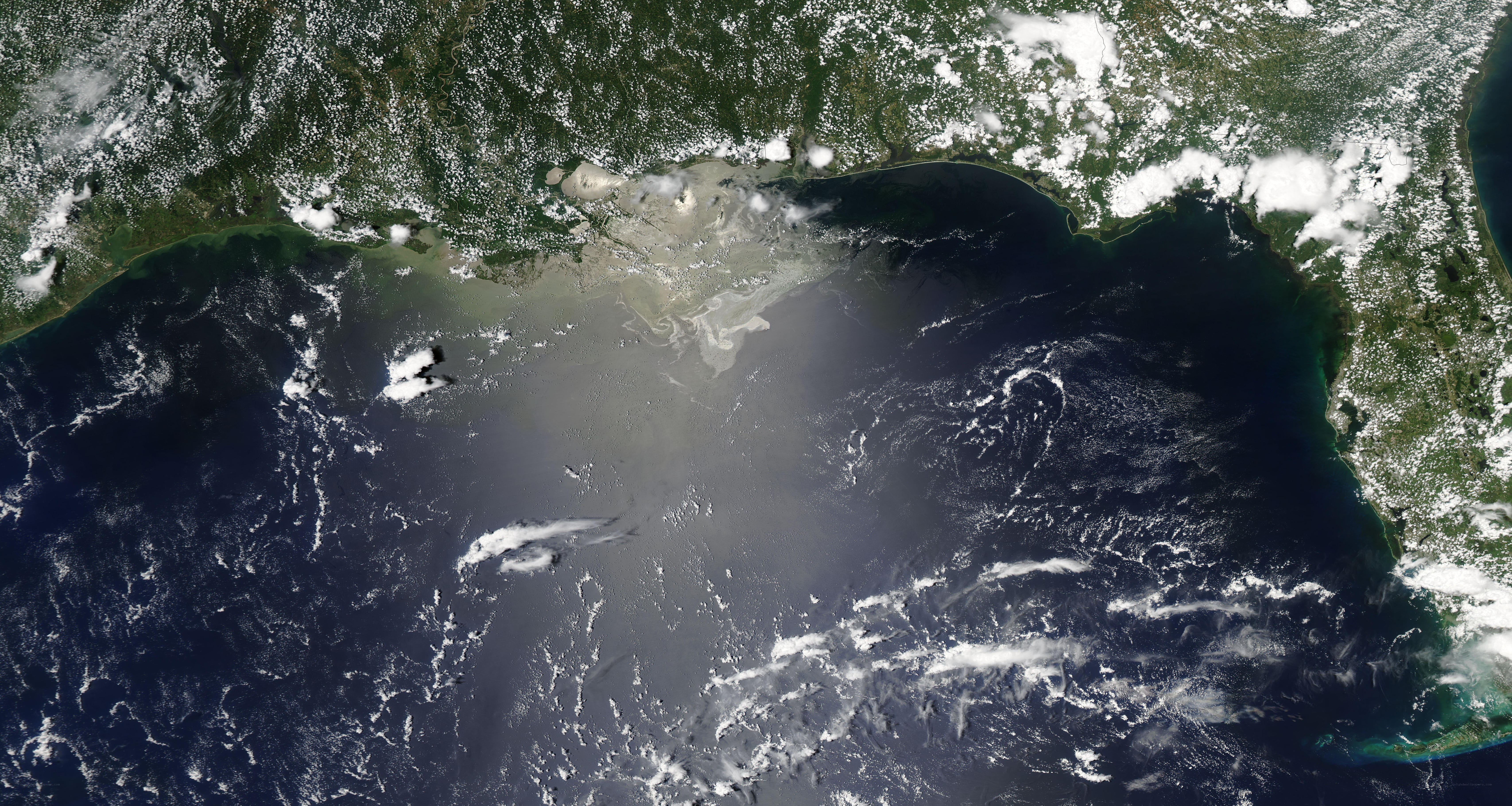 Mississippi River Delta from space