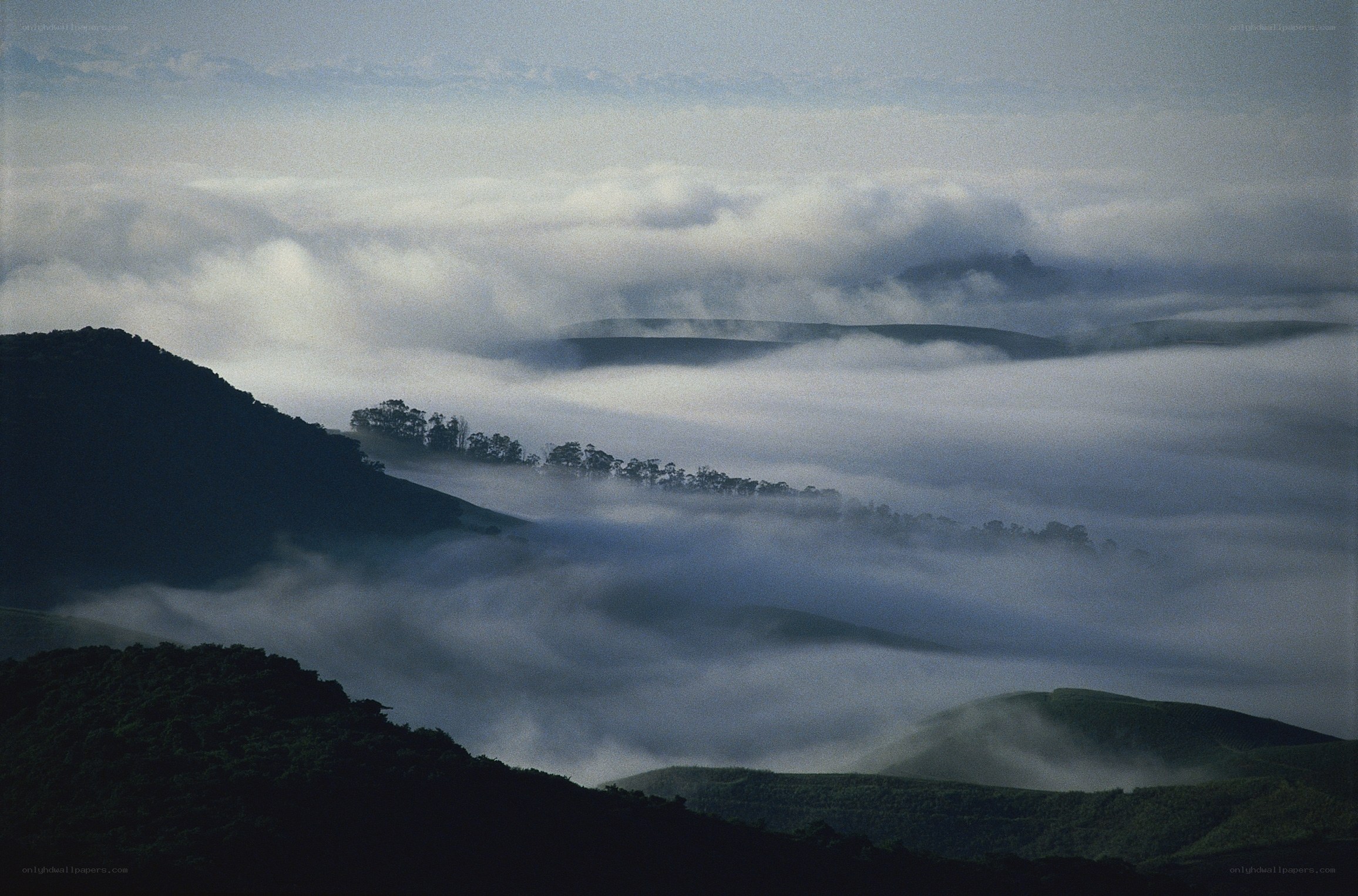Mist-covered hills at dawn