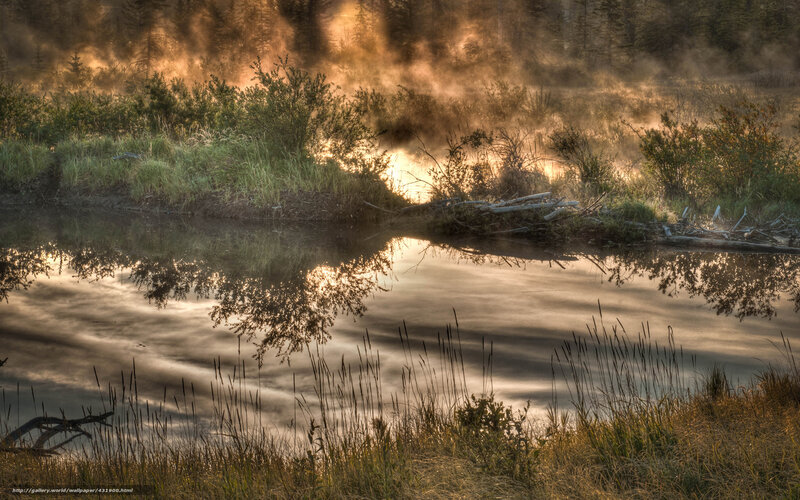 Mist over a calm river