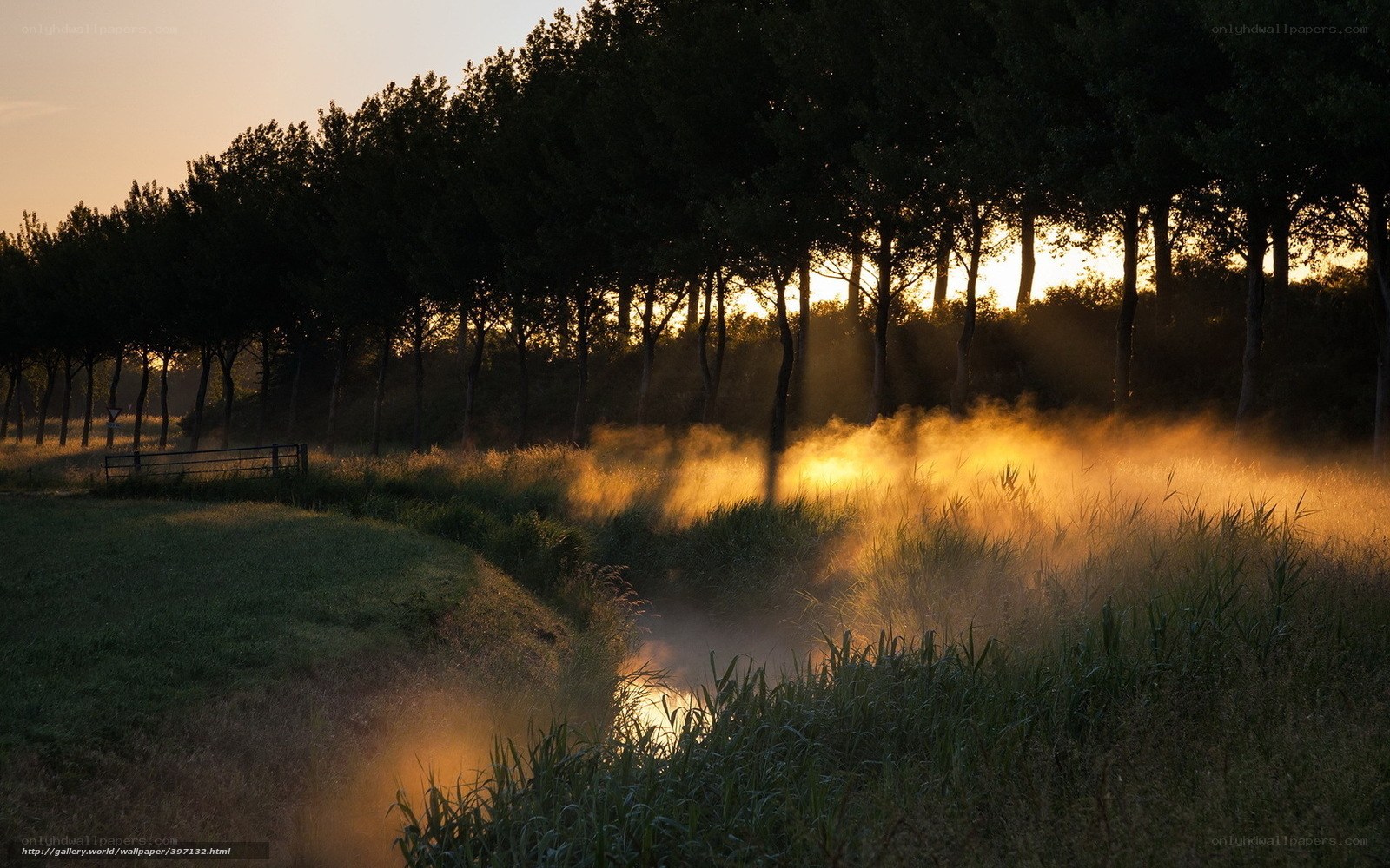 Mist over a canal at sunrise