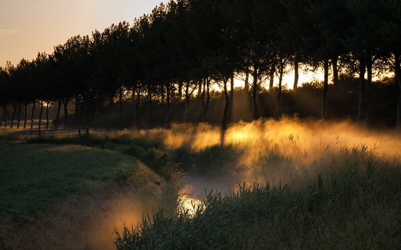 Mist over a Ditch — Green, Serene