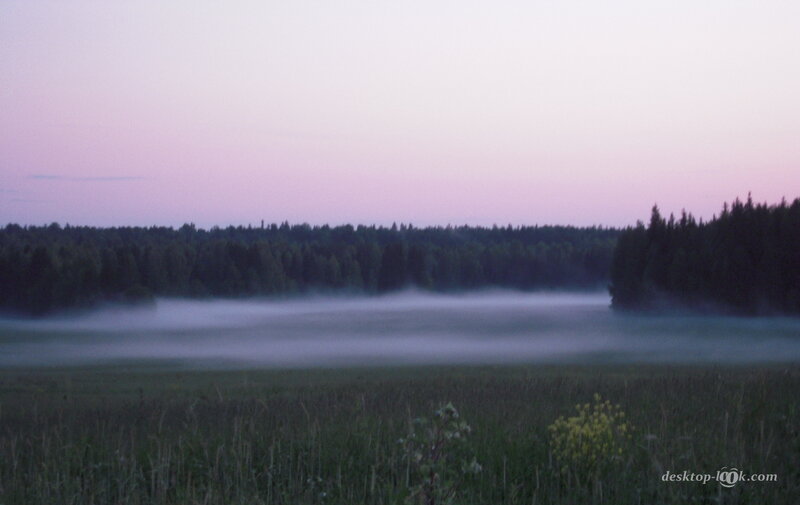 Mist over a Field