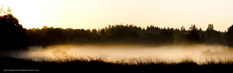 Mist over a forest lake