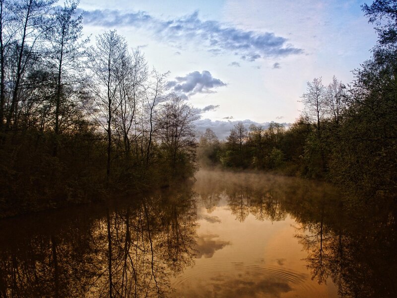 Mist over a forest river