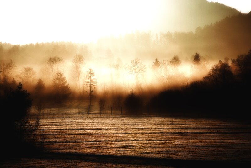 Mist over a forested valley