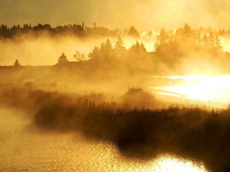 Mist over a golden river