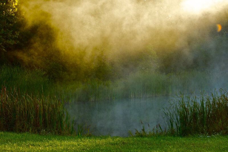 Mist over a Pond