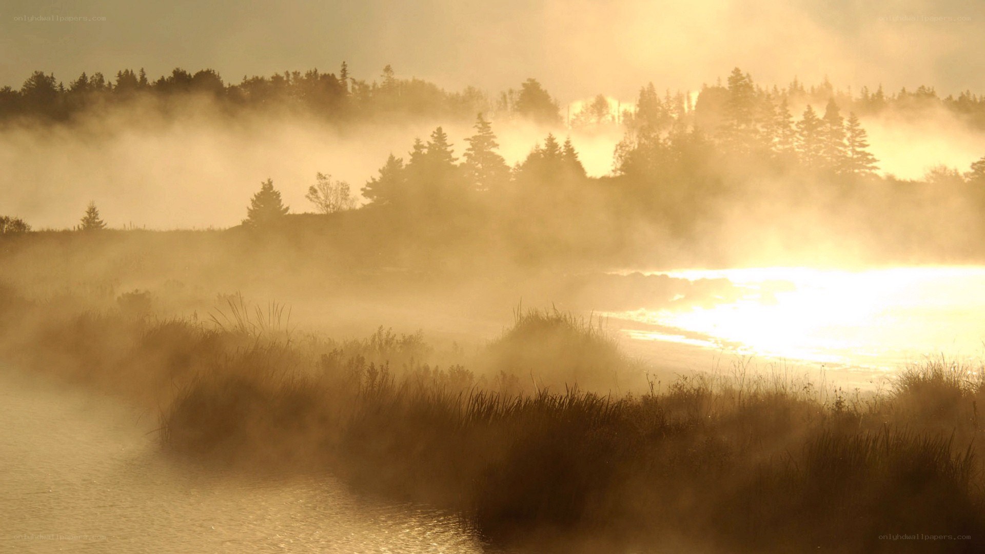 Mist over a river at sunrise