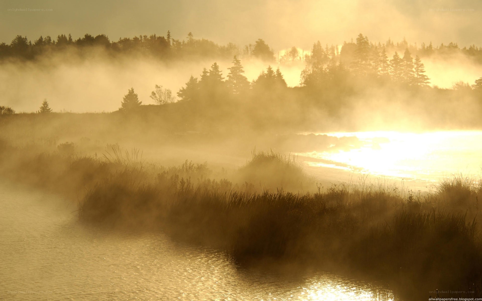 Mist over a river at sunrise
