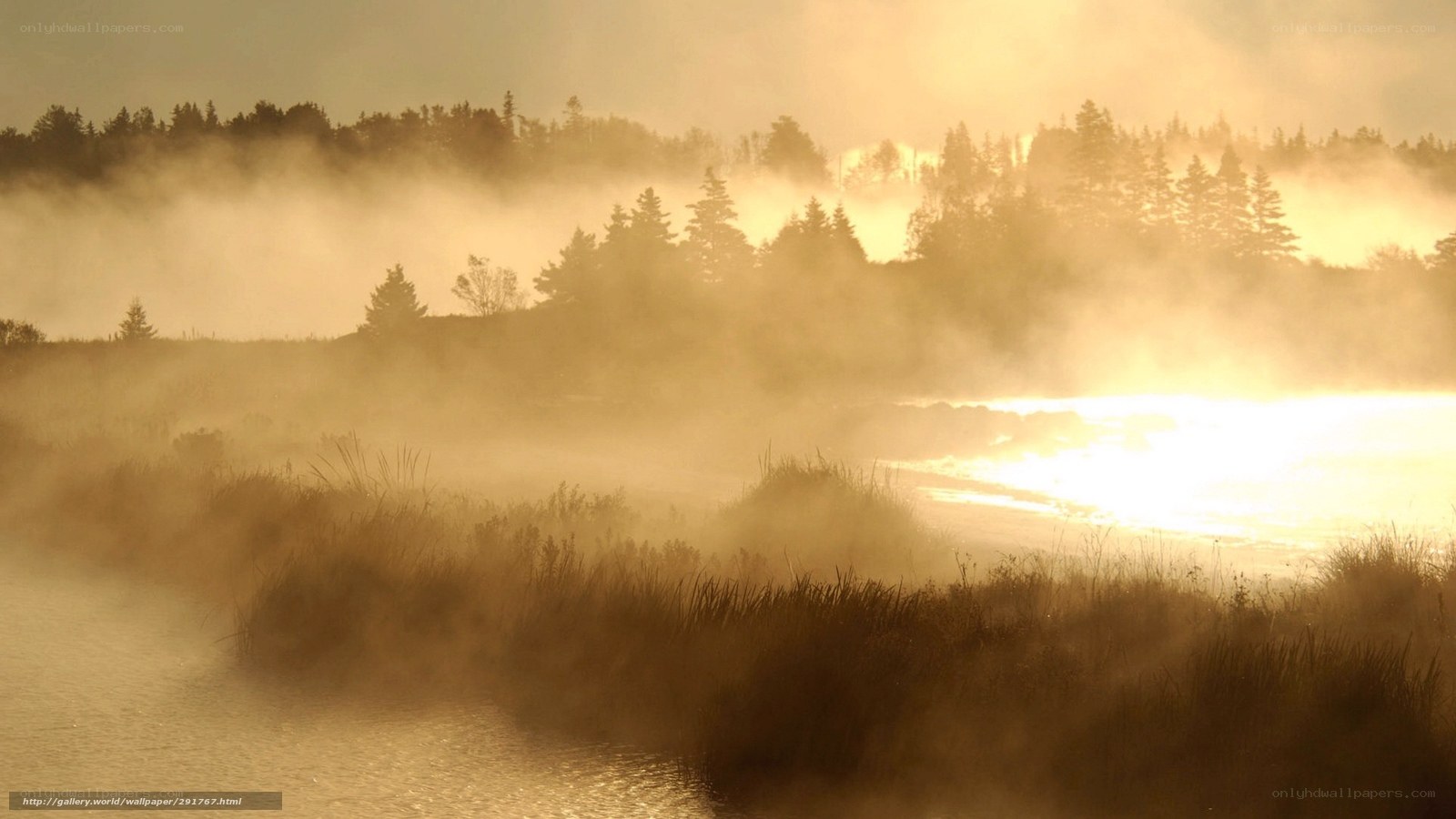 Mist over a river at sunrise