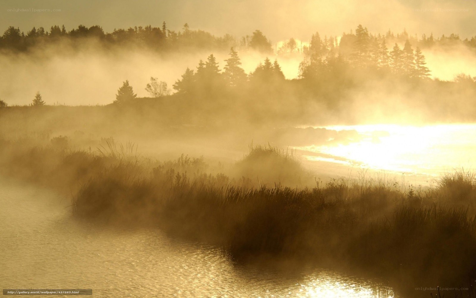 Mist over a serene lake