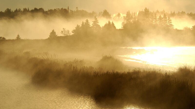 Mist over a serene lake at sunrise