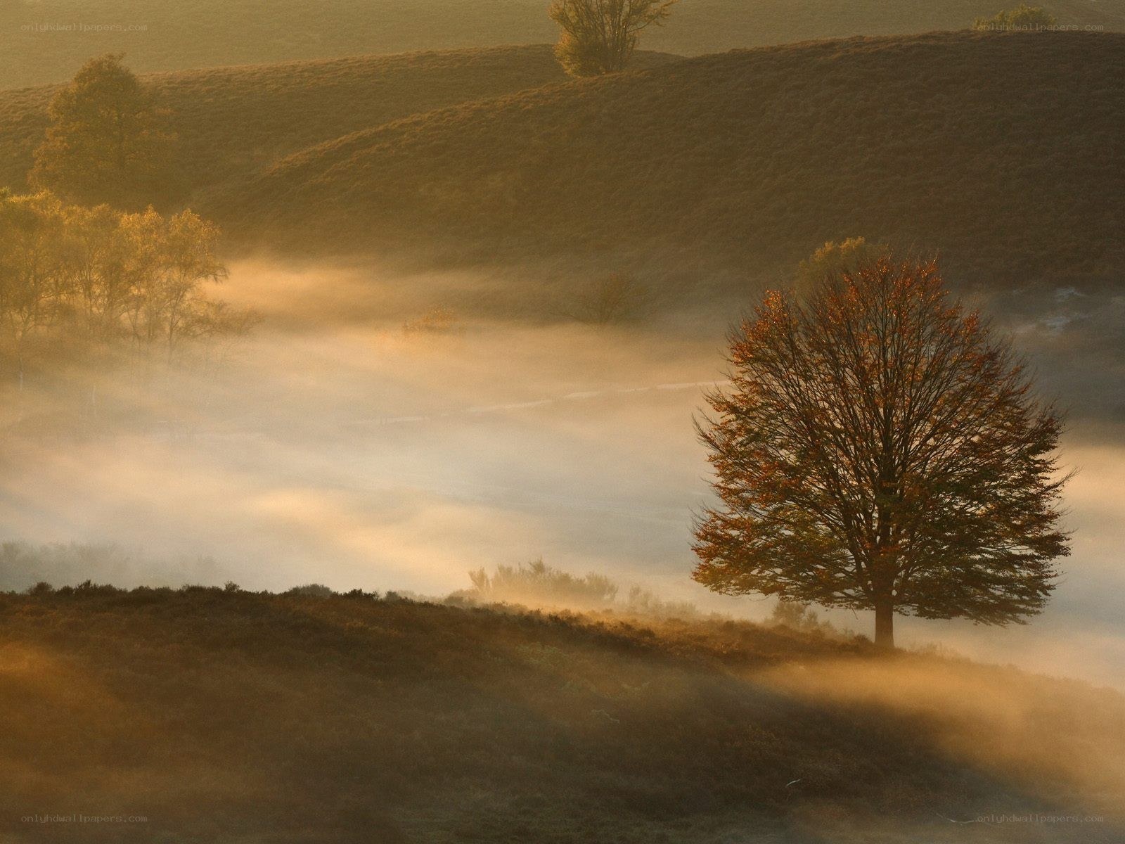 Mist over autumn hills