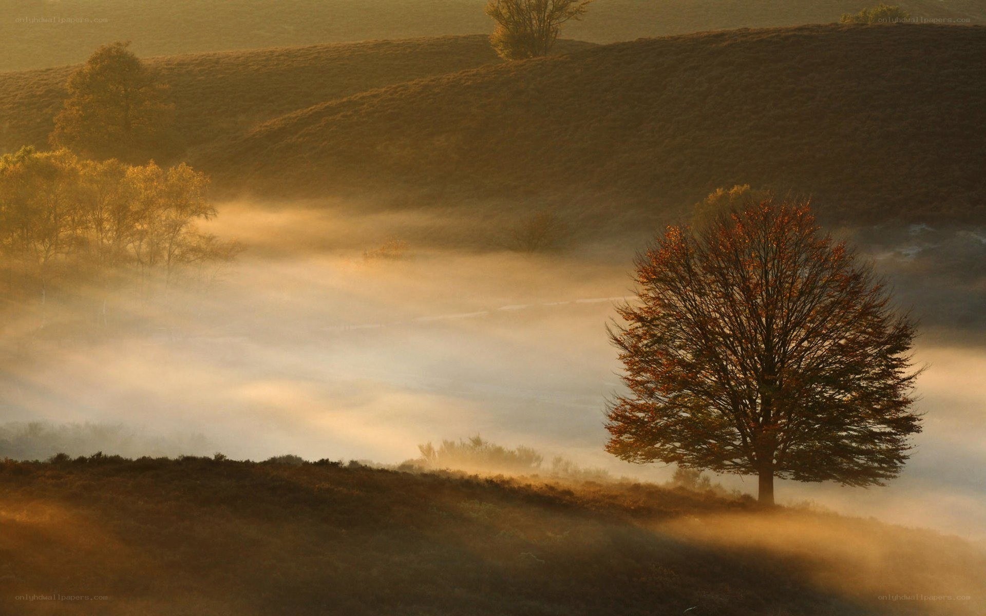 Mist over autumn hills