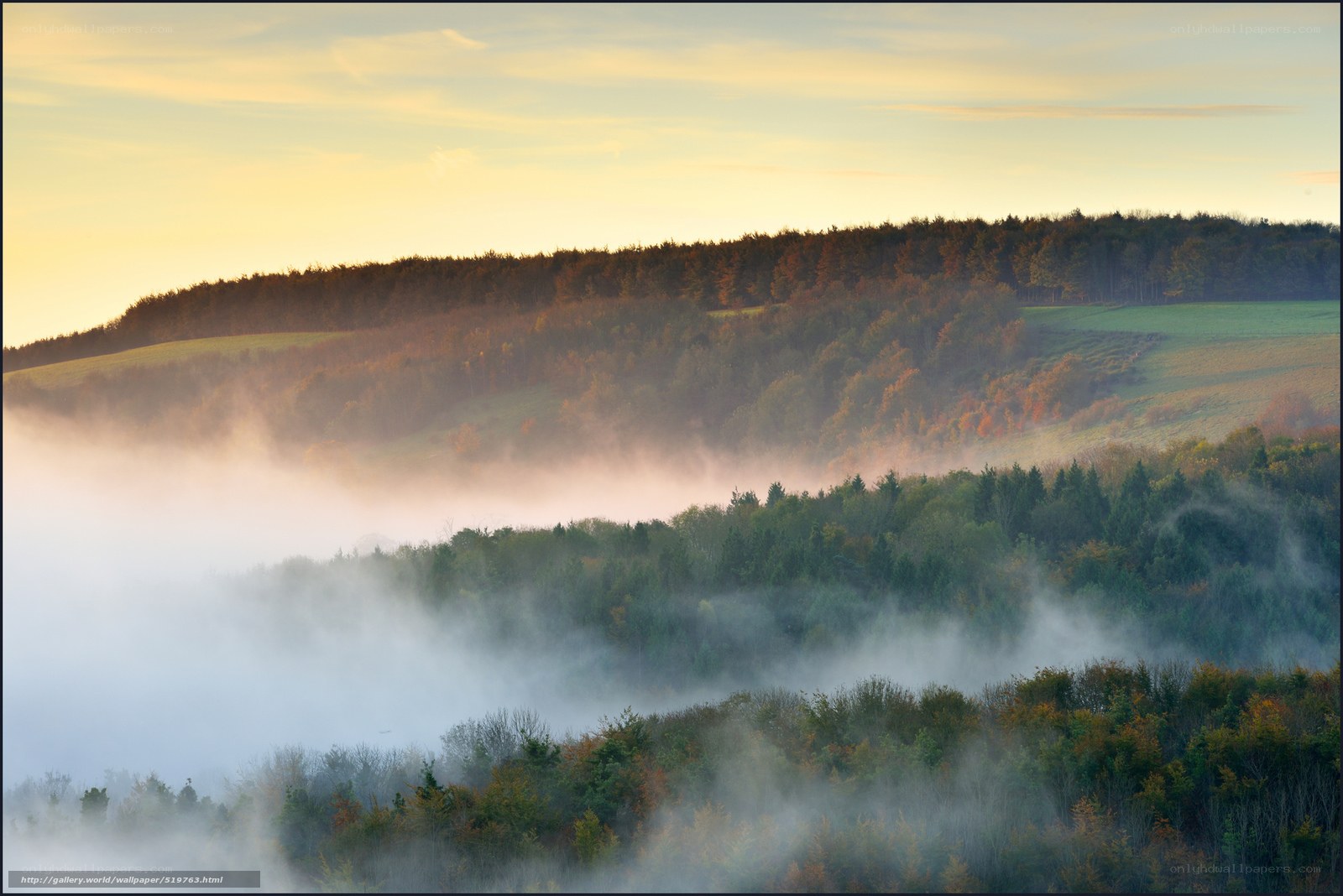 Mist over Autumn Hills