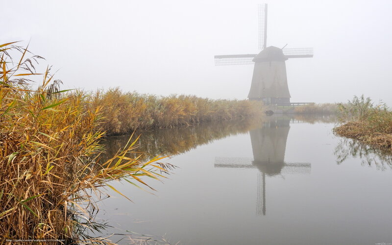Mist over Dutch windmill