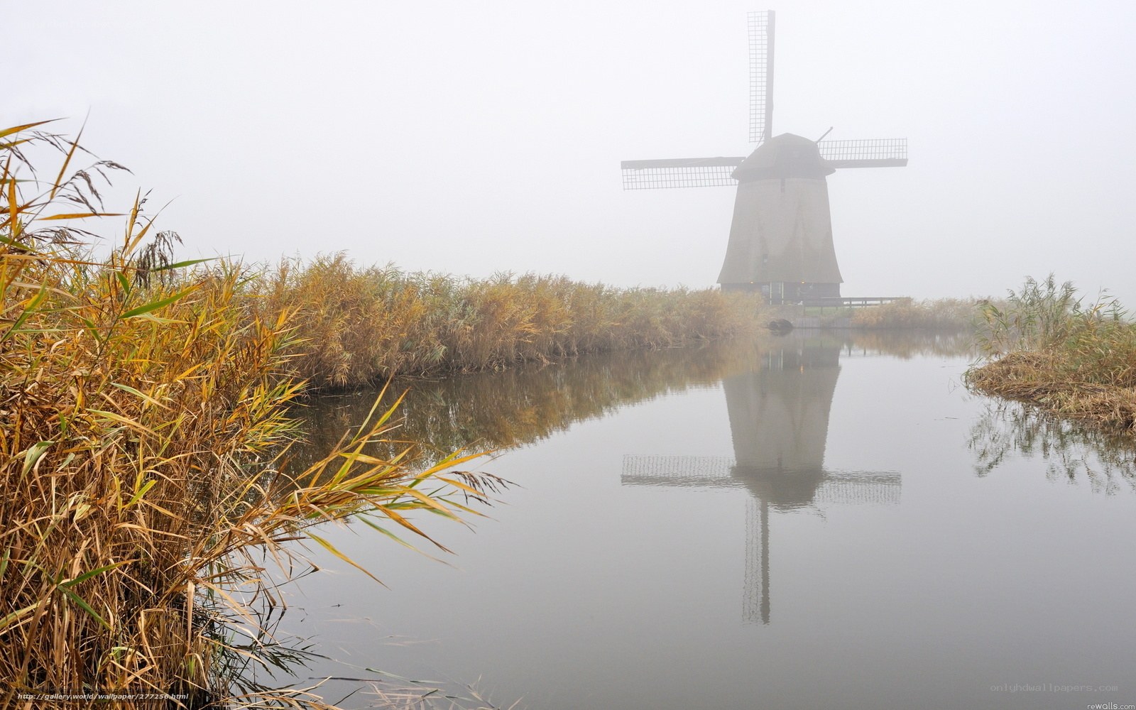 Mist over Dutch windmill
