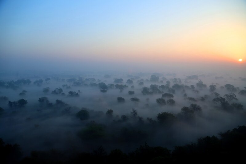 Mist over forest at sunrise