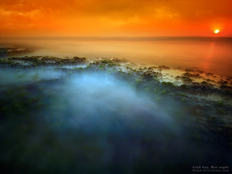 Mist over forest at sunset