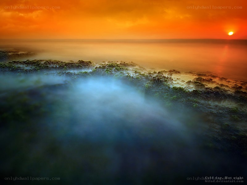 Mist over forest at sunset
