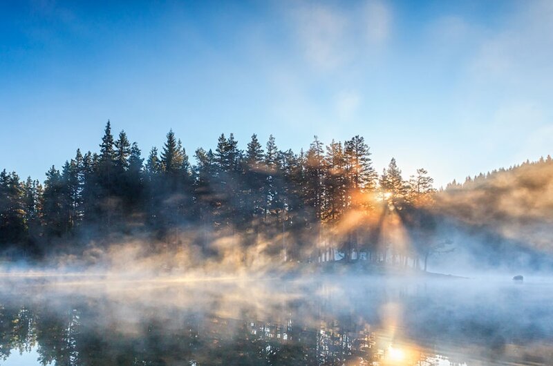 Mist over Forest Lake
