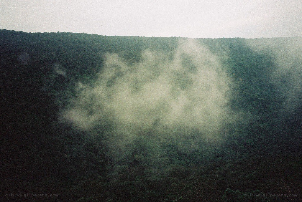 Mist over forested hills