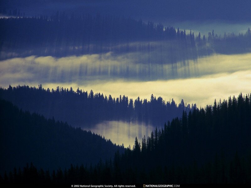 Mist over forested hills