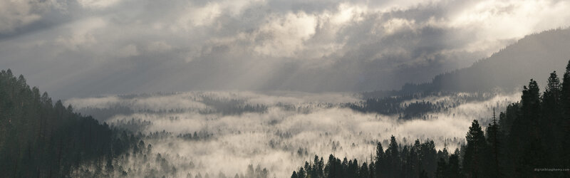 Mist over forested mountains