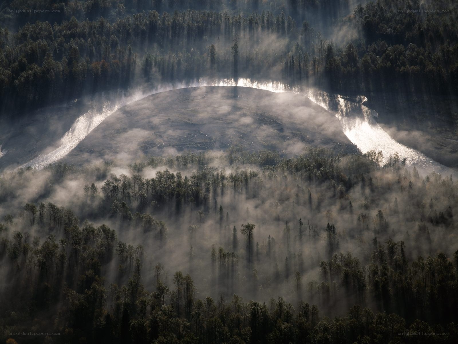 Mist over forested valley
