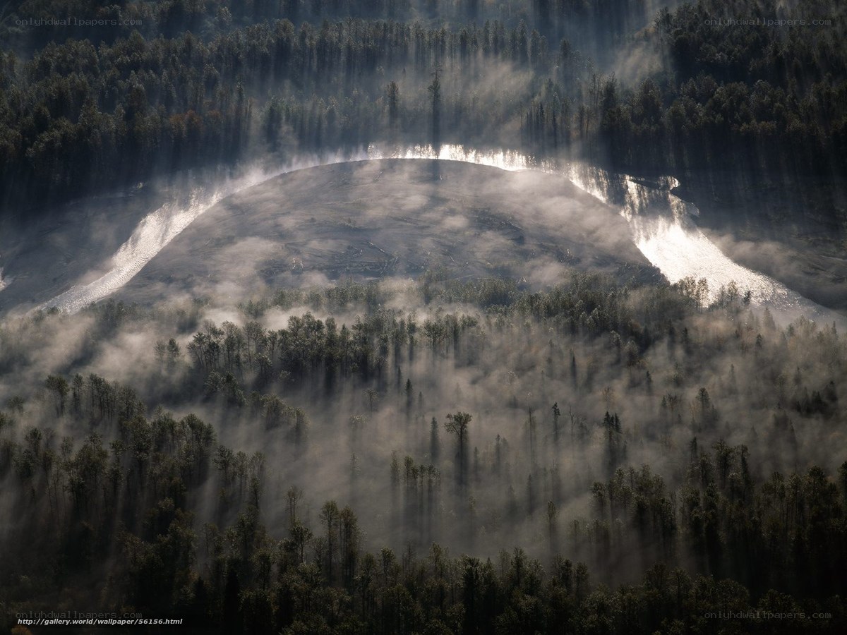 Mist over forested valley