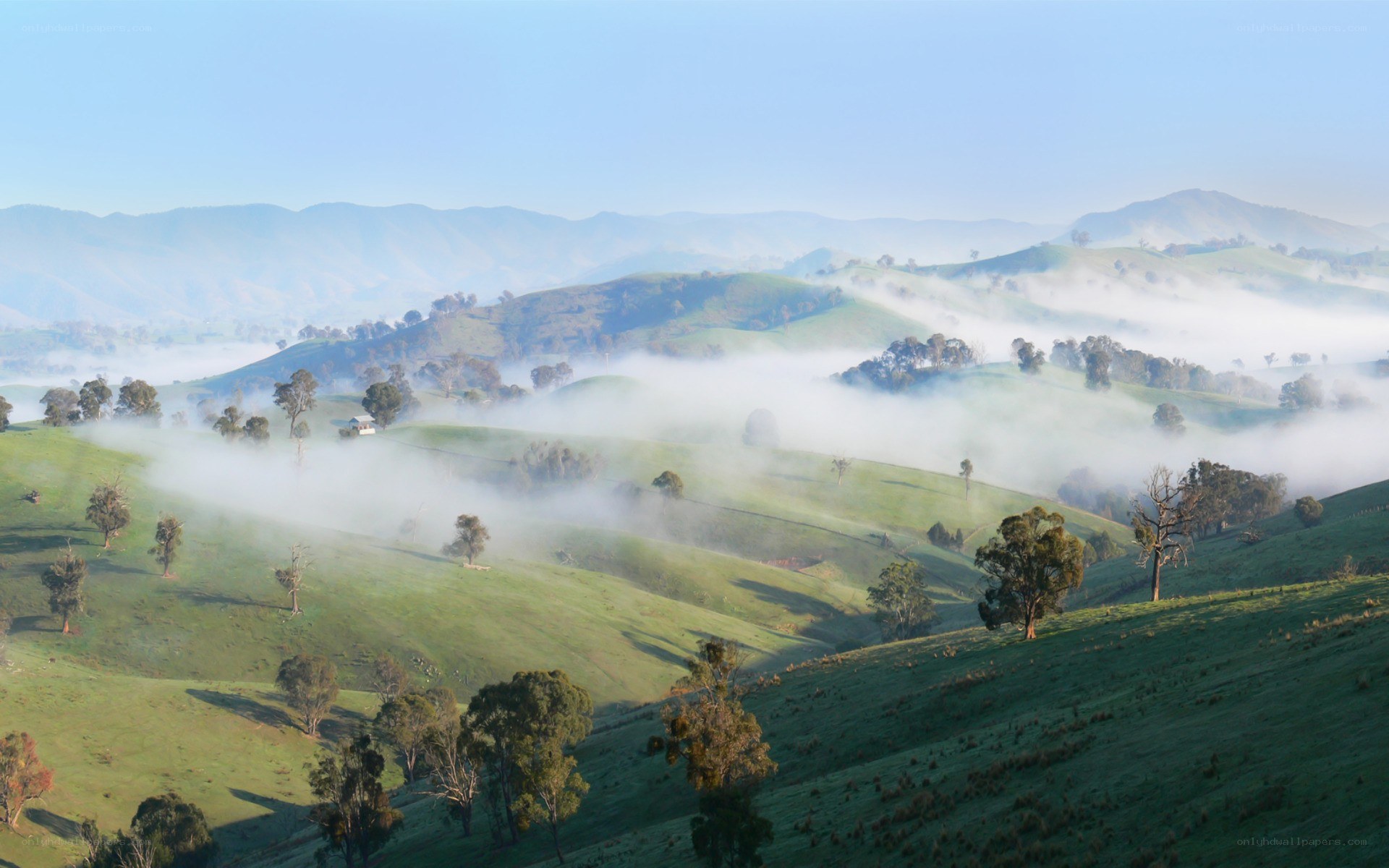 Mist over green hills