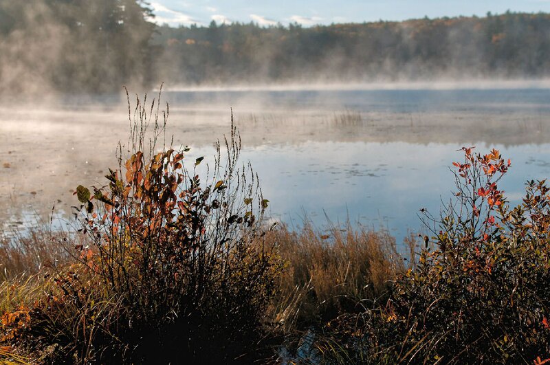 Mist over Lake at Dawn — Blue, Serene, Morning