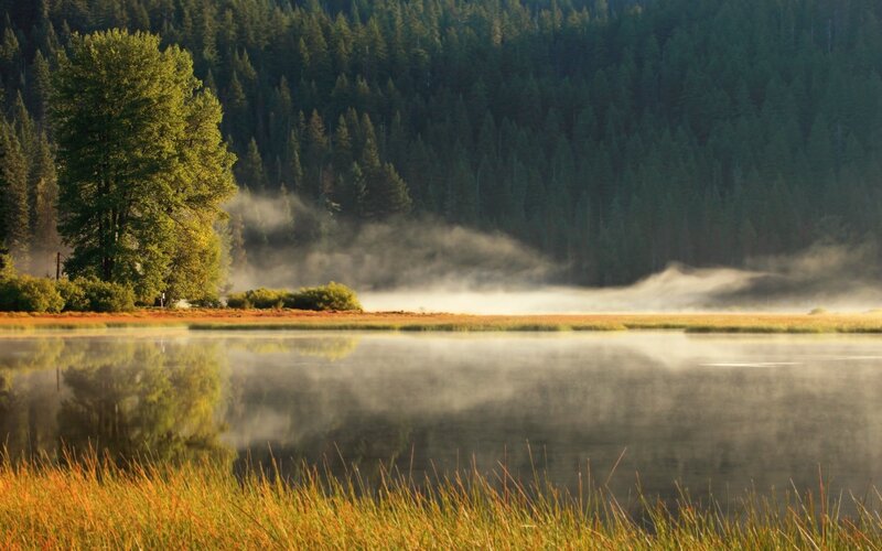 Mist over Lake at Dawn — Green