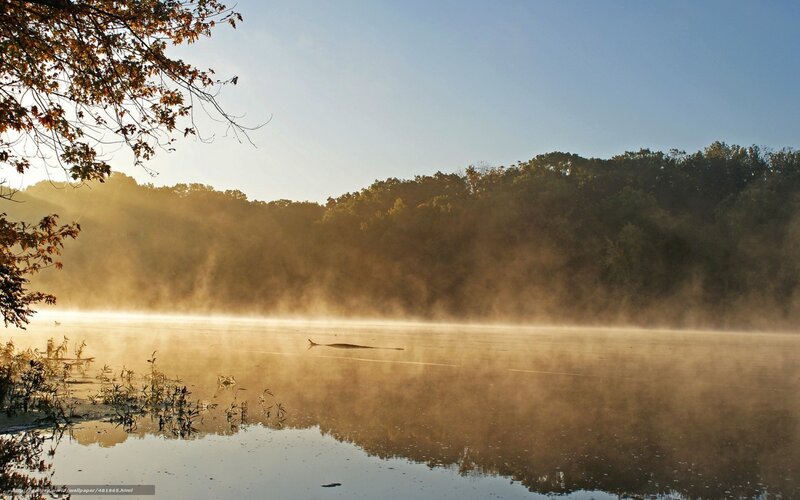 Mist over Lake at Sunrise