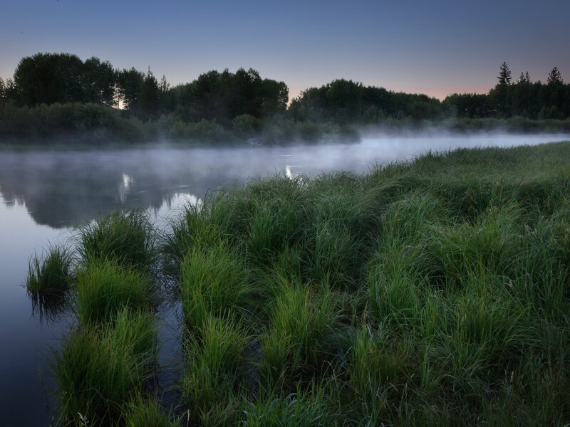Mist over River at Dawn