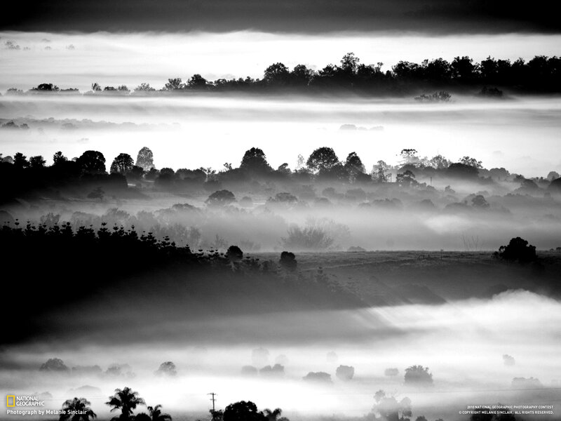 Mist over rolling hills